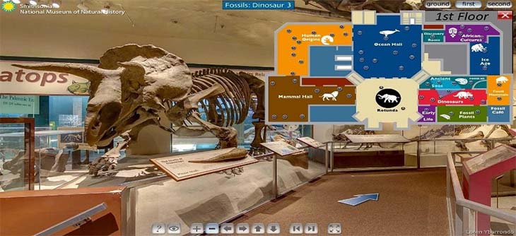 Virtual Museums Virtual Reality Application