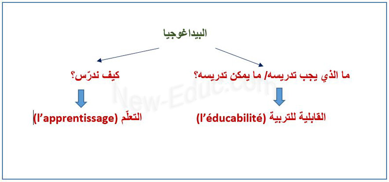 ما البيداغوجيا