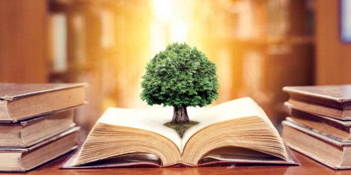 المنهج التربوي الإسلامي: الفلسفة، النظرة للمتعلم، المحتوى، تنفيذ وتقويم ...