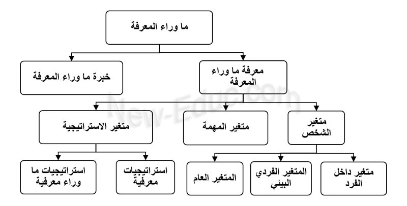 ما وراء المعرفة