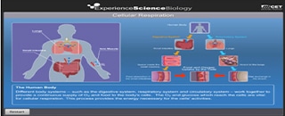 تطبيقات للآيباد تساعد  على دراسة جسم الإنسان Experience-Biology