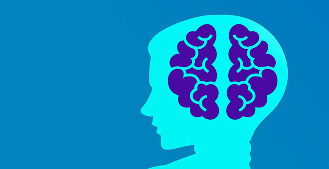 كيمياء الدماغ و اضطراب تشتت الانتباه و فرط الحركة Adhd تعليم جديد