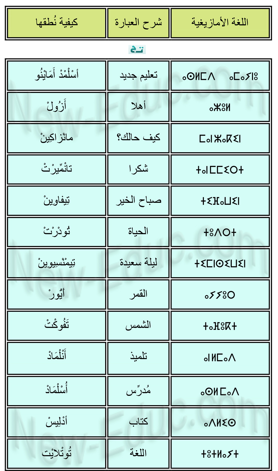 خُطوة أولى نحو تعلم اللغة الأمازيغية tutlayt tamazight Tifinagh-alphabet-1