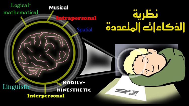 نظرية الذكاءات المتعددة