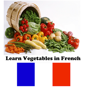 تطبيقات أندرويد لتعلم اللغة الفرنسية (16)